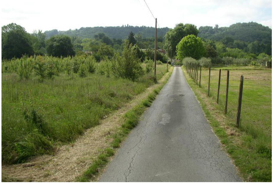 Terreno Agricolo in vendita in frazione la penna località la steccata, Terranuova Bracciolini
