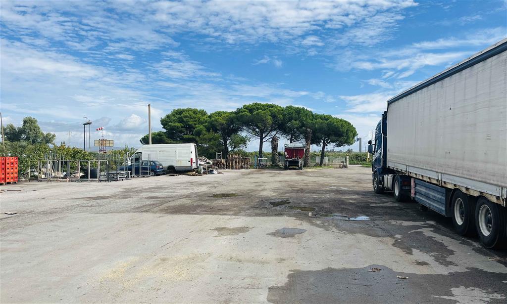 immagine annuncio 1 di 7