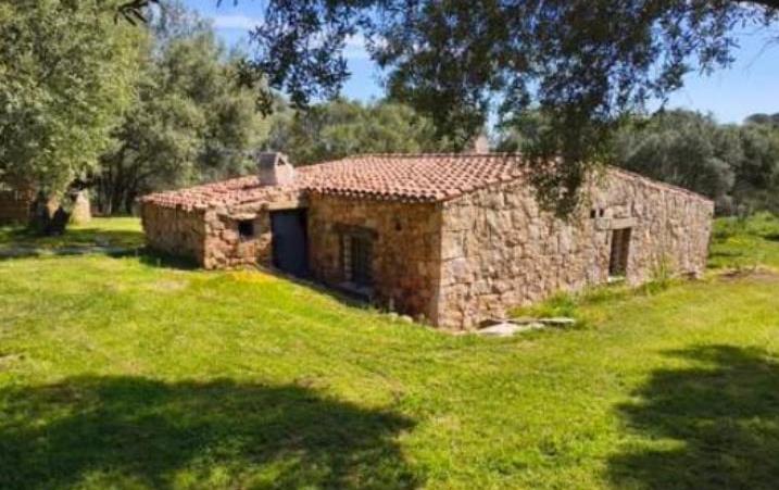 Terreno Agricolo in vendita in milmeggiu, Olbia
