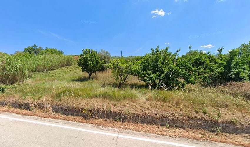 Terreno Agricolo in vendita in sp neviera di motta, Celenza Valfortore