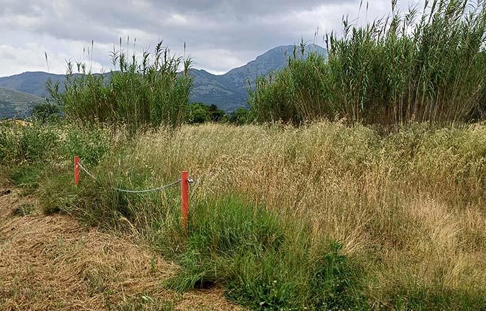 Terreno in vendita in contrada sferracavalli, Venafro
