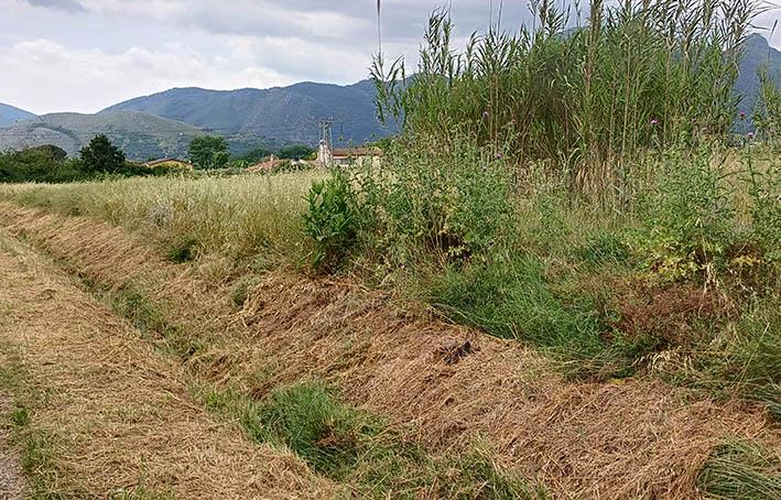 Terreno in vendita in contrada sferracavalli, Venafro