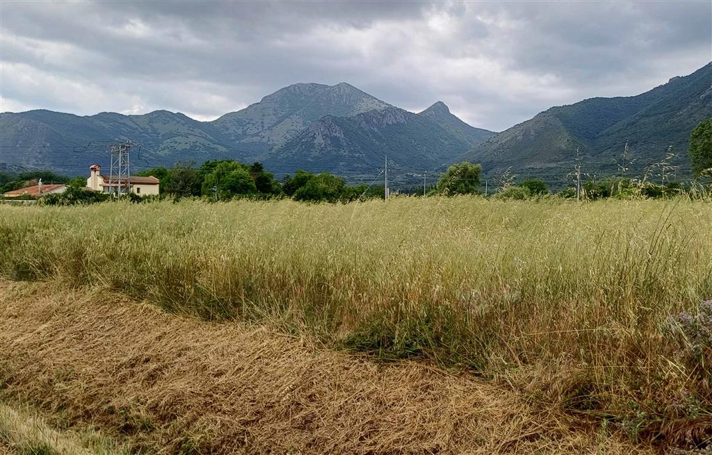Terreno in vendita in contrada sferracavalli, Venafro
