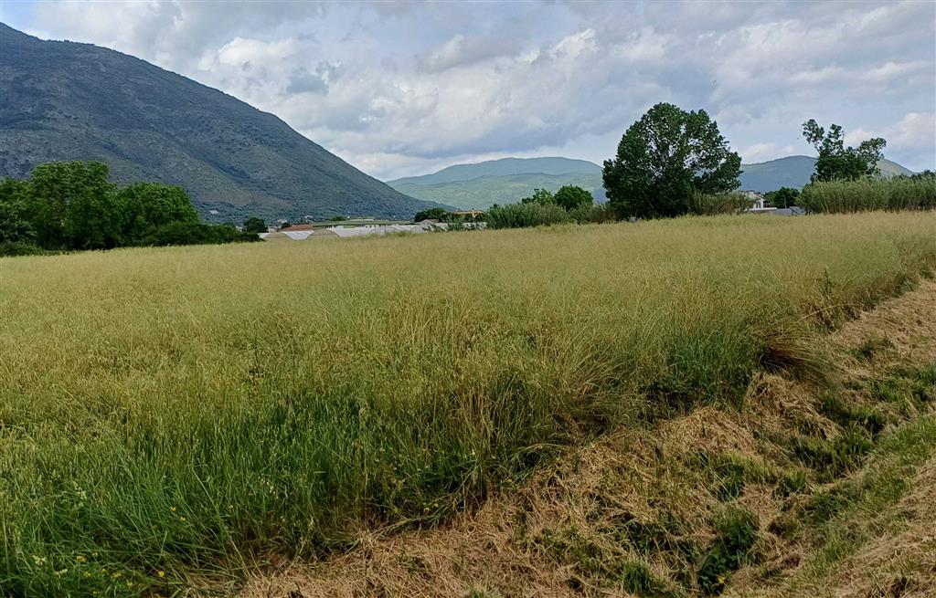 Terreno in vendita in contrada sferracavalli, Venafro