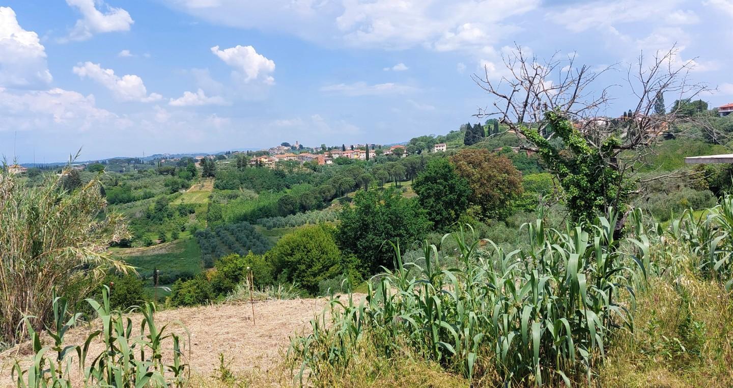 Villa con giardino, Terricciola soianella