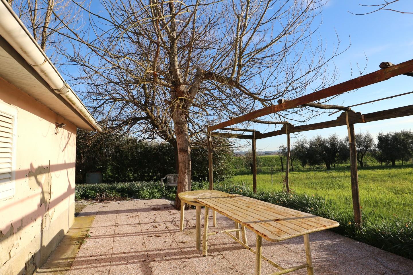 Terreno Agricolo in vendita, Santa Maria a Monte montecalvoli basso