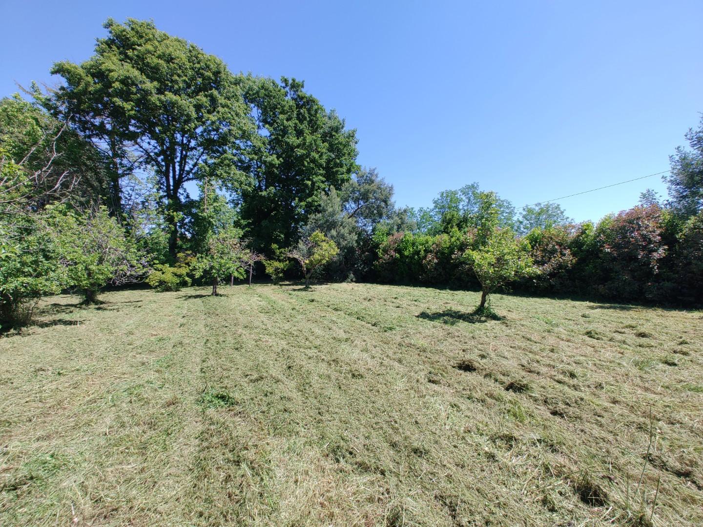 Terreno Edificabile in vendita a Fauglia