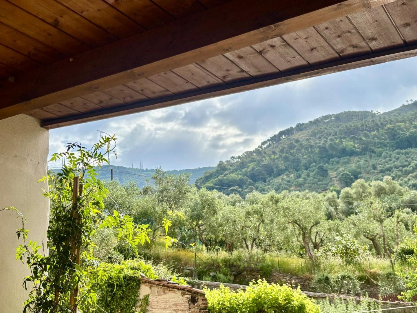 Casa indipendente con giardino a Calci