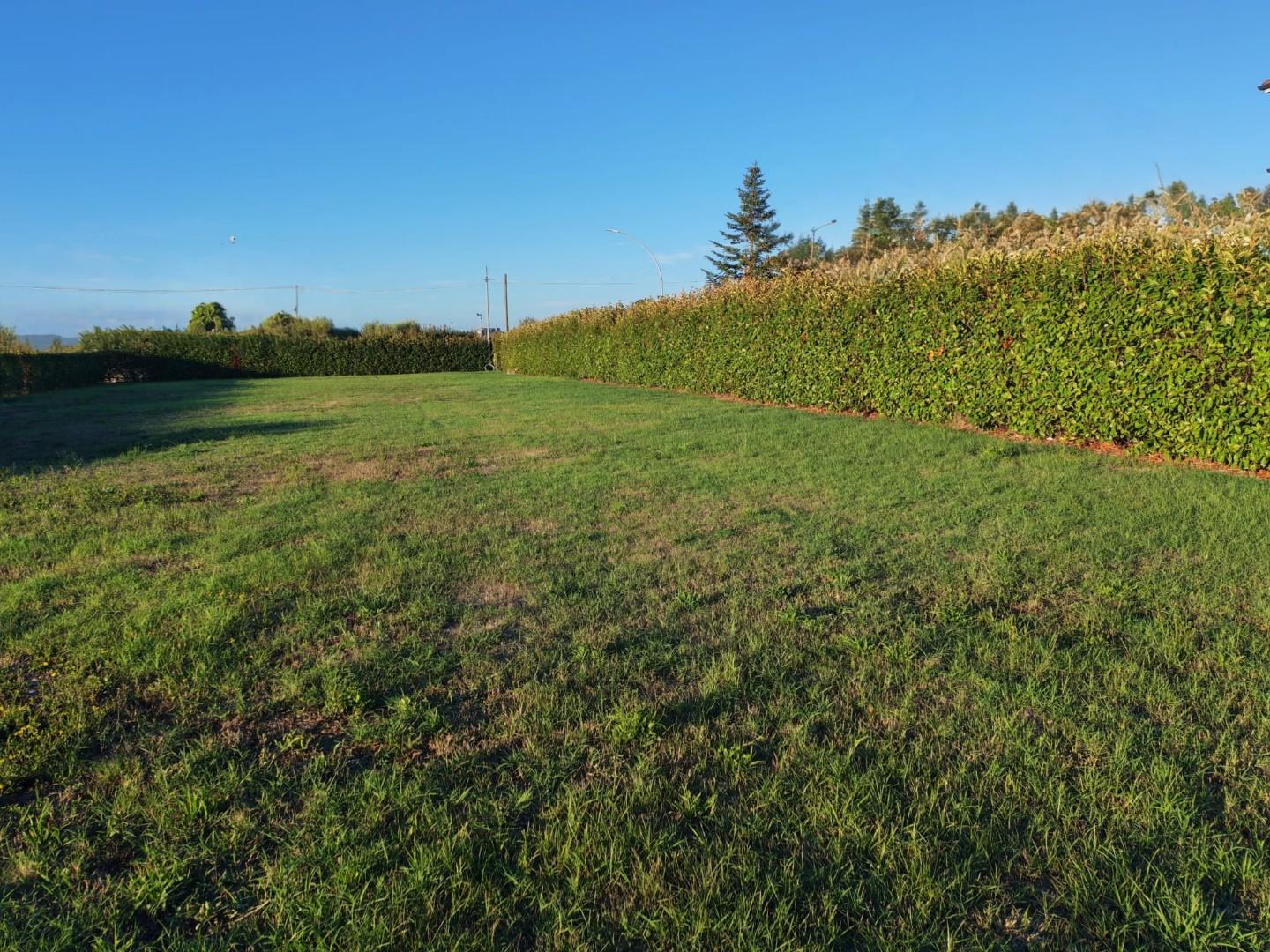 Terreno Edificabile in vendita a Ponsacco