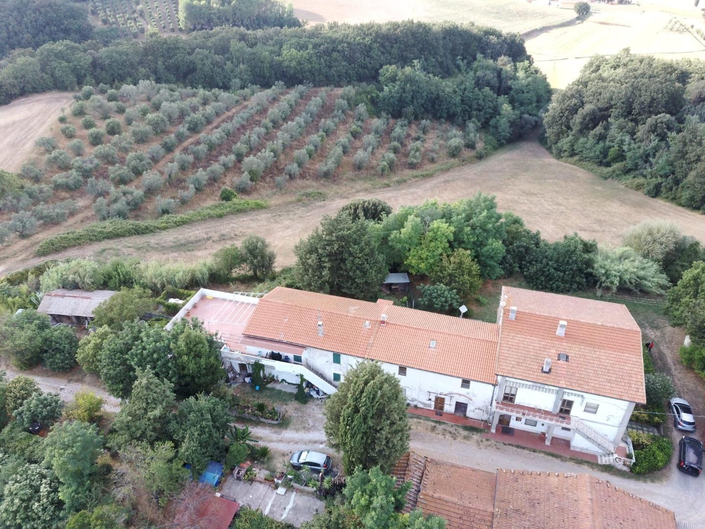 Appartamento con giardino a Collesalvetti