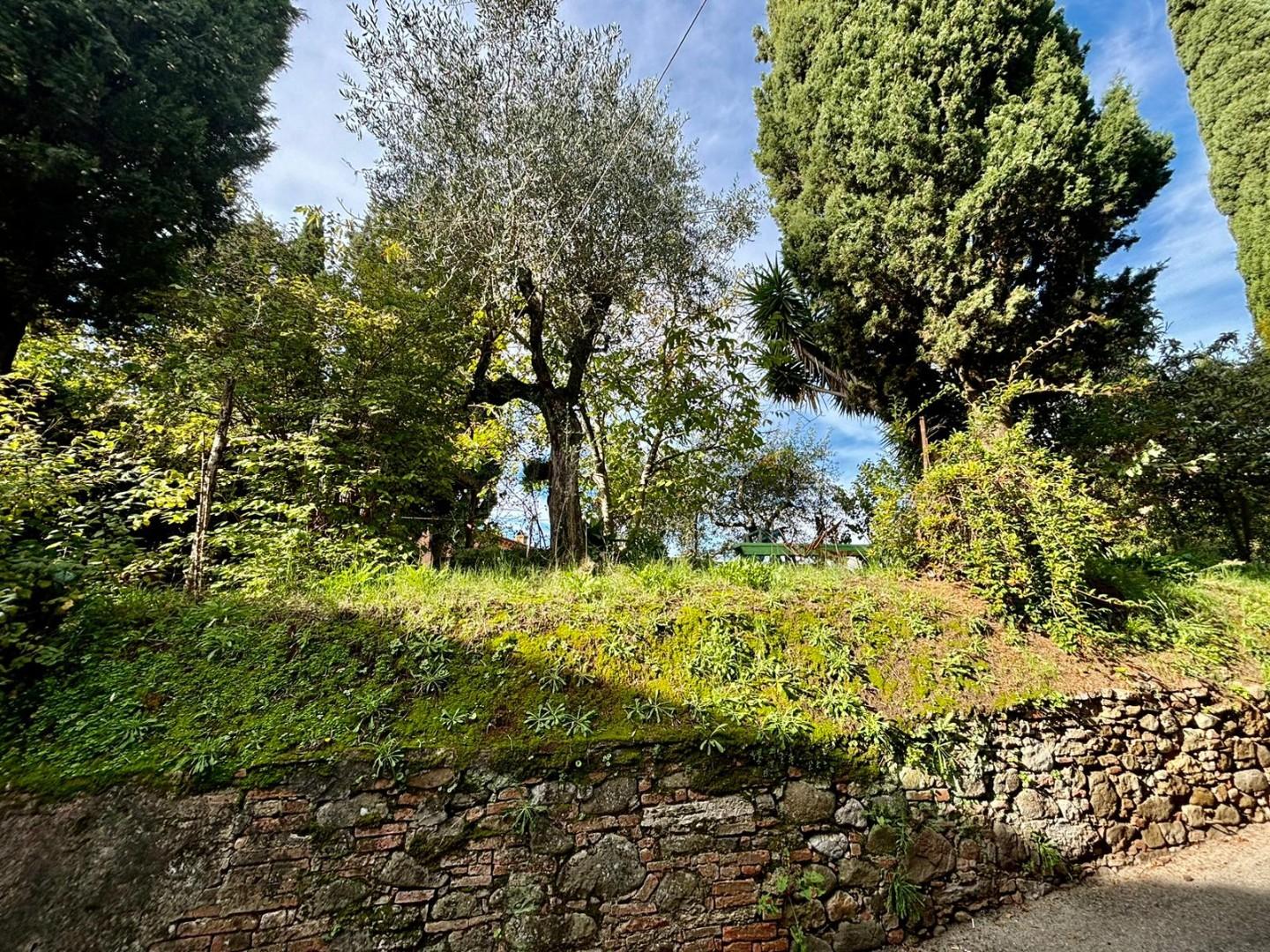 Rustico con giardino a Terricciola