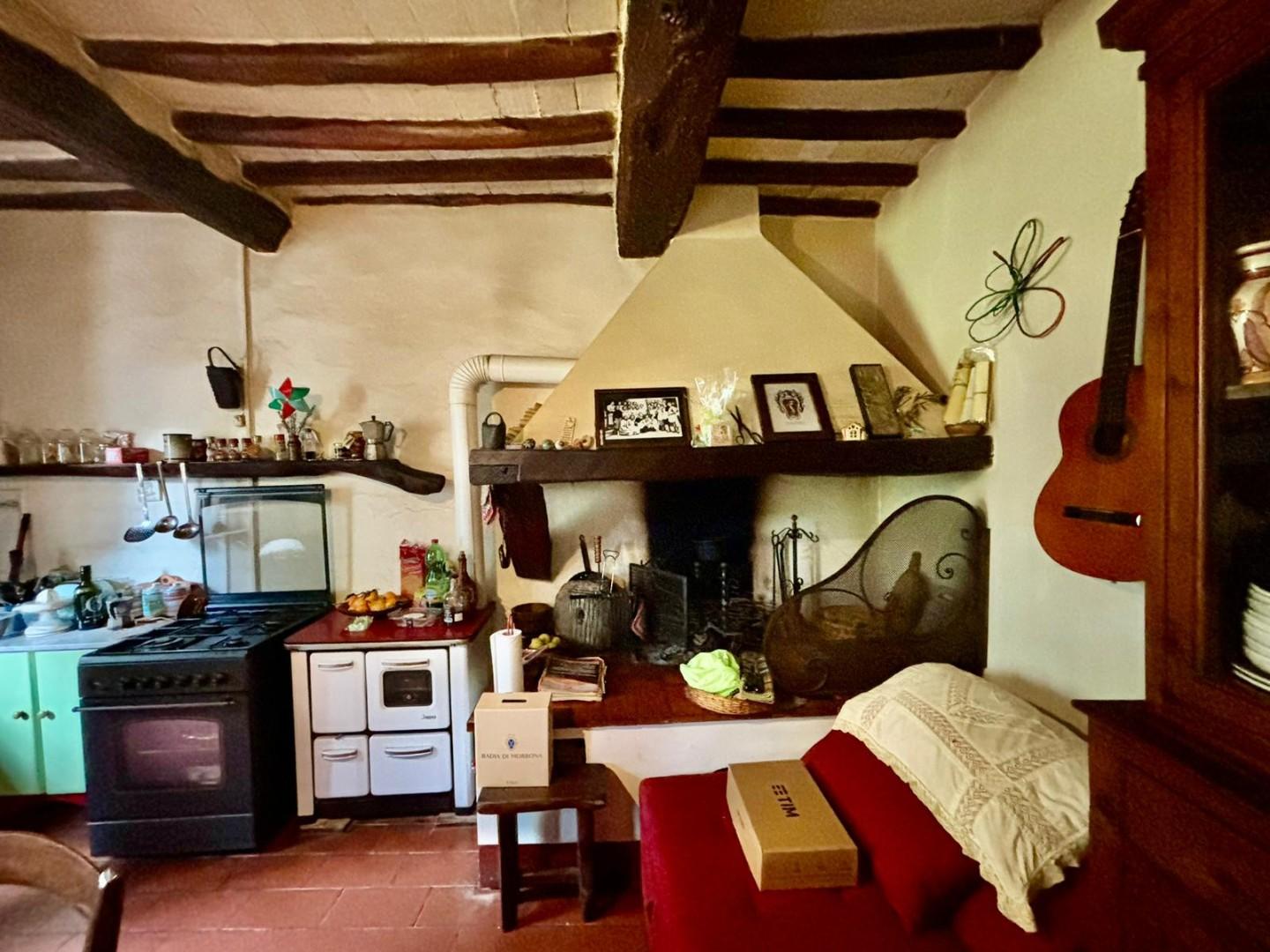 Rustico con giardino a Terricciola