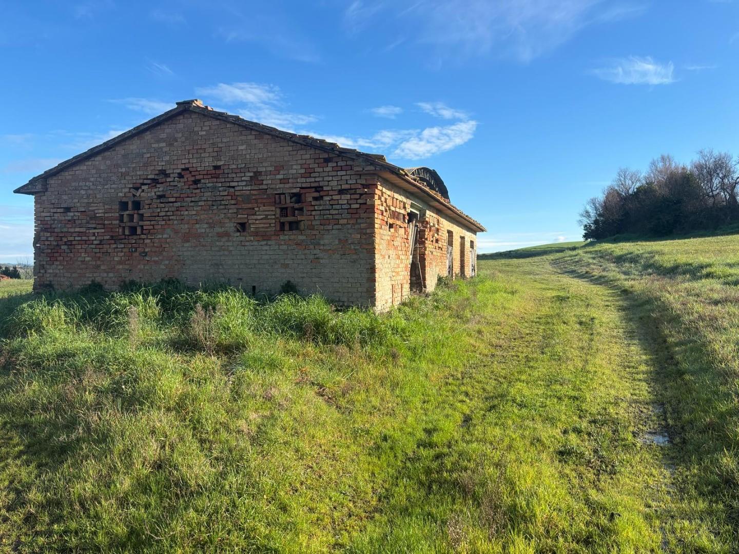 immagine annuncio 3 di 6