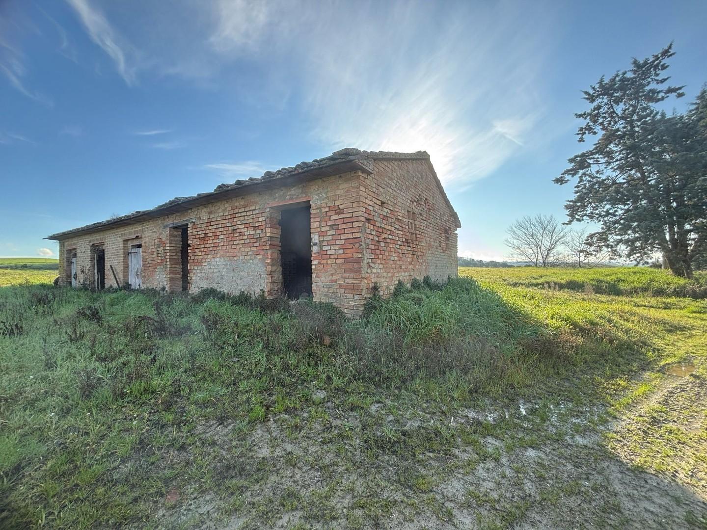 immagine annuncio 4 di 6