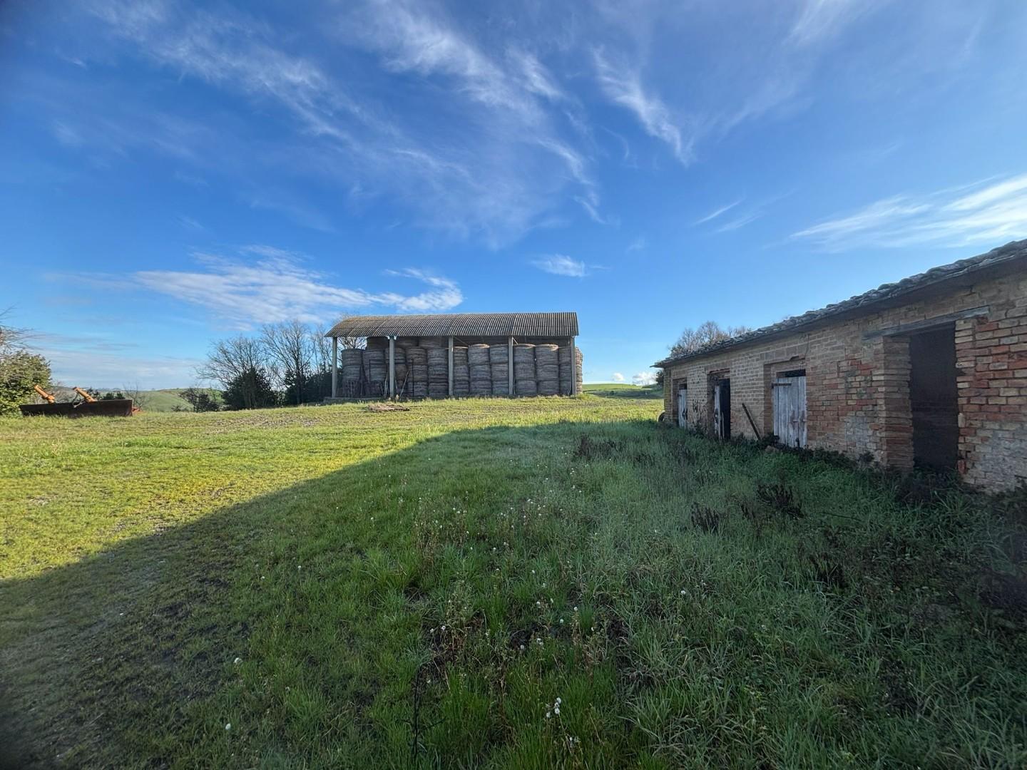 immagine annuncio 5 di 6