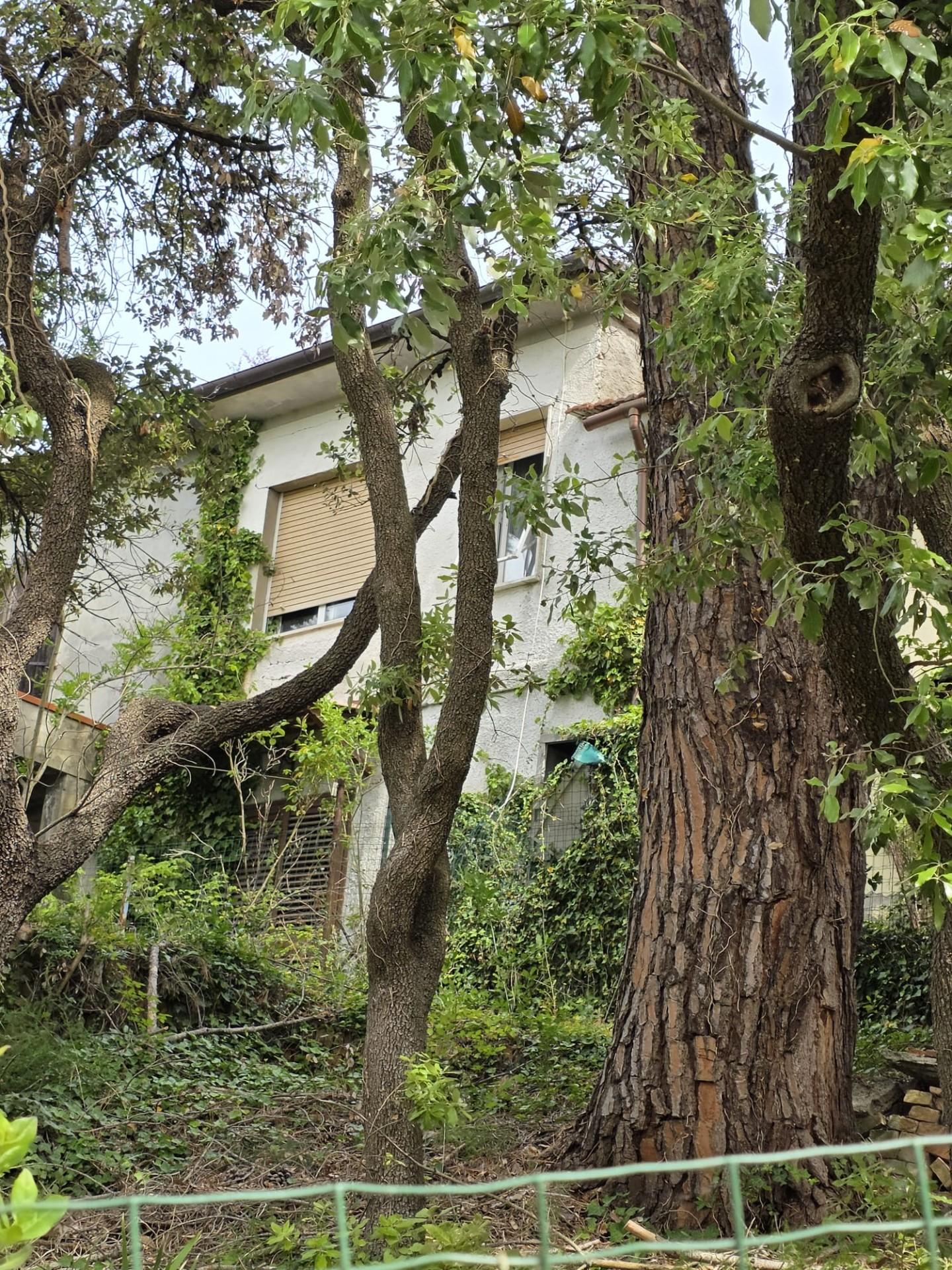Casa indipendente con giardino a Orciano Pisano
