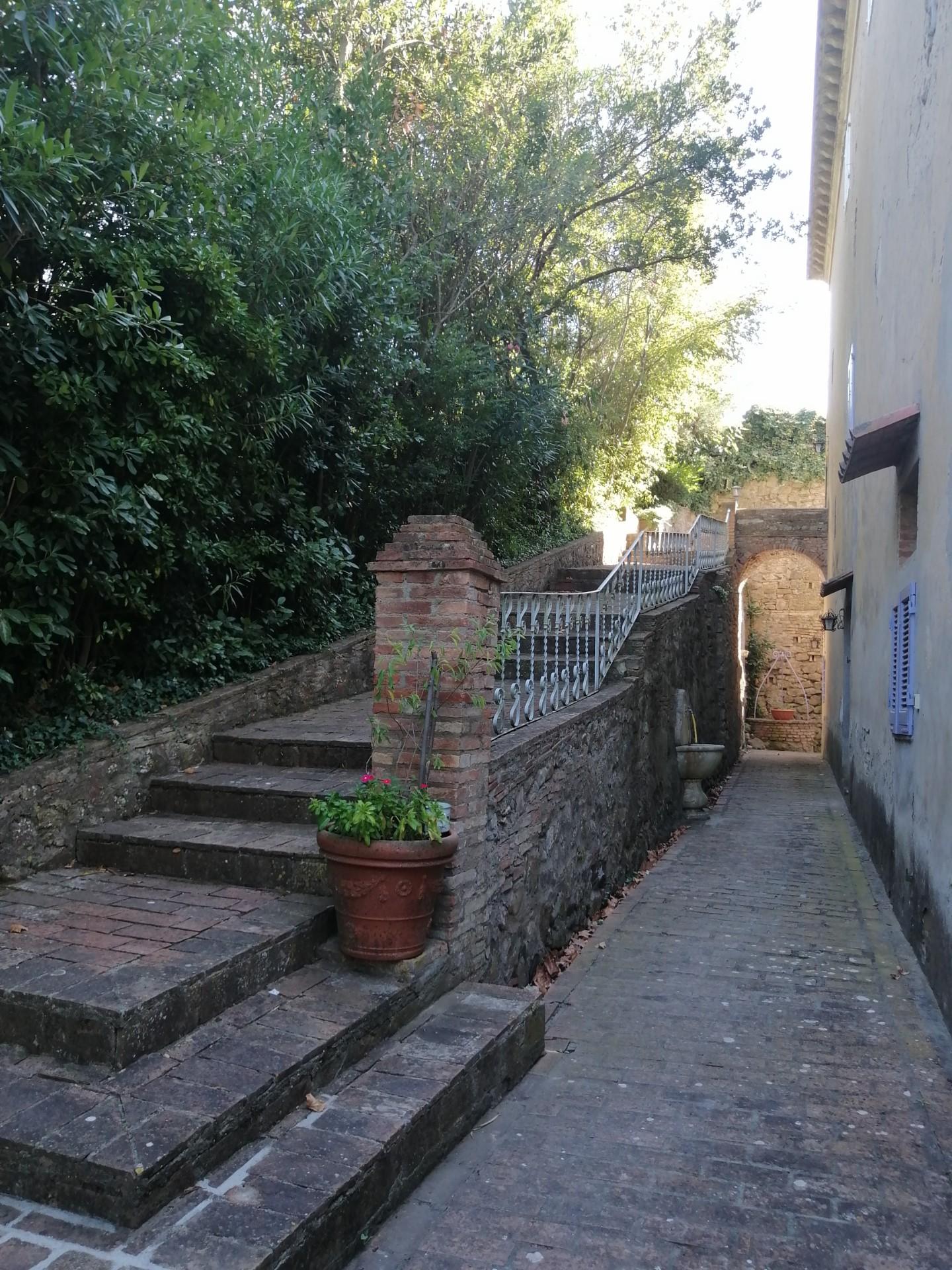 Rustico con giardino a Santa Luce