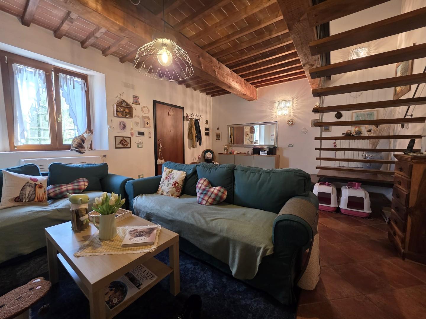 Appartamento in vendita, Collesalvetti torretta vecchia