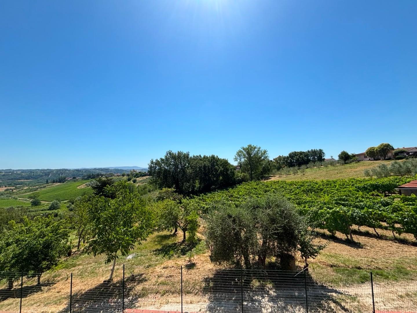 Rustico con giardino a Terricciola