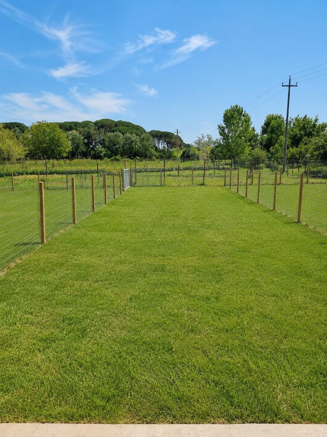 Villa con giardino, Buti cascine
