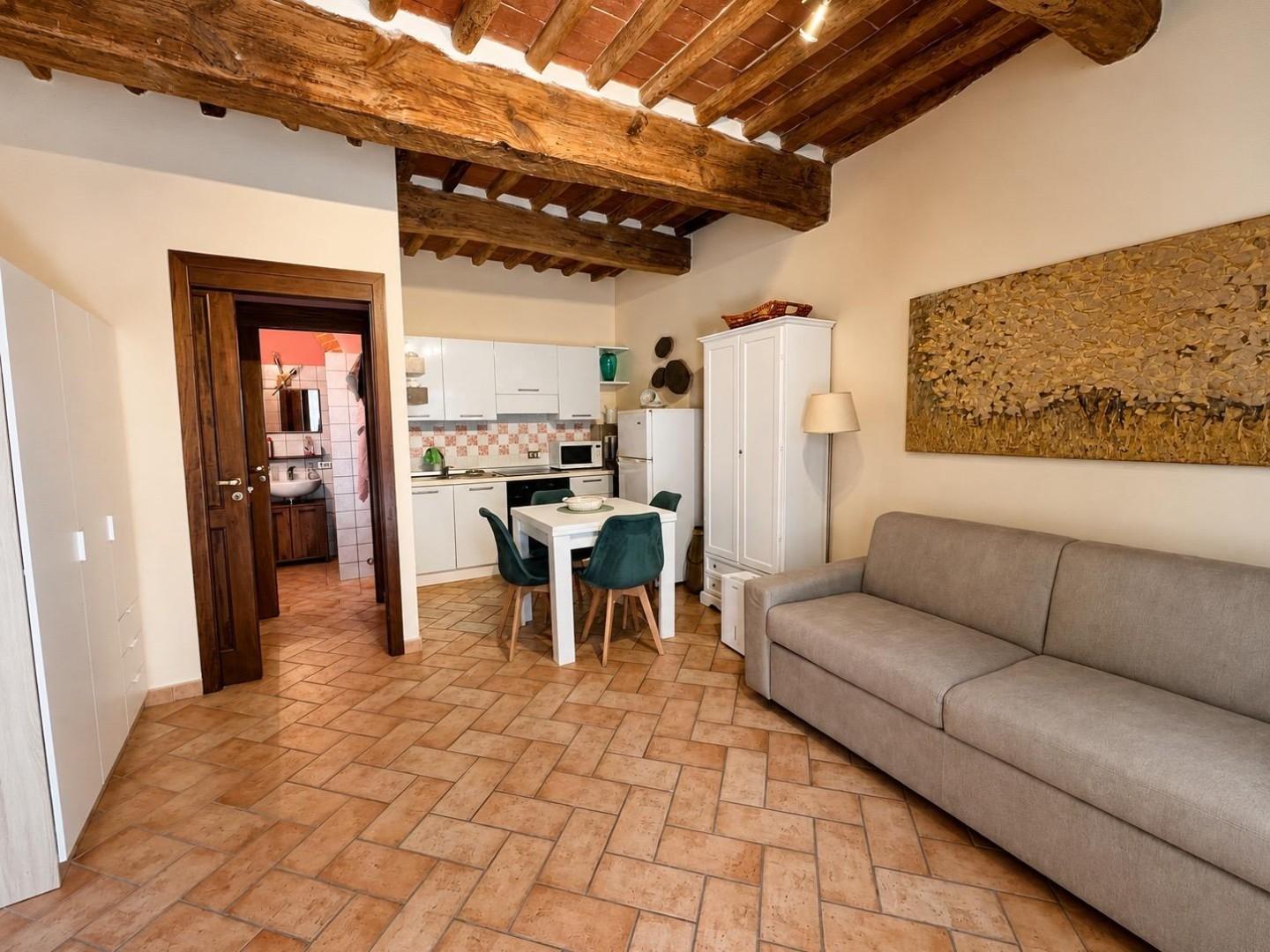 Monolocale in vendita, Palaia partino