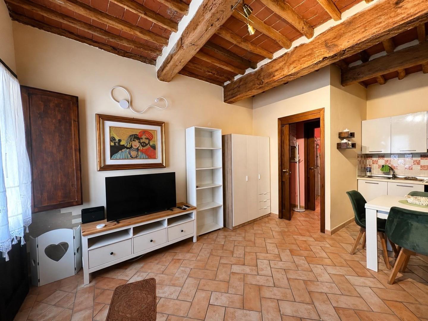 Monolocale in vendita, Palaia partino