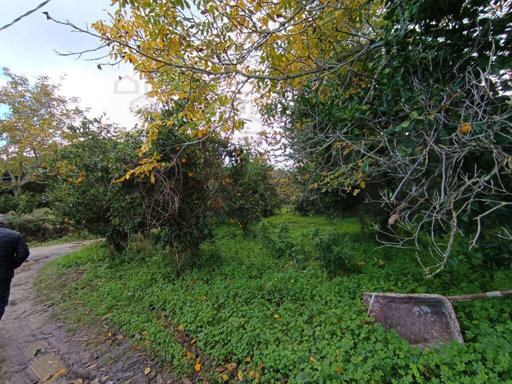 Villa con giardino in scarcelli, Rometta