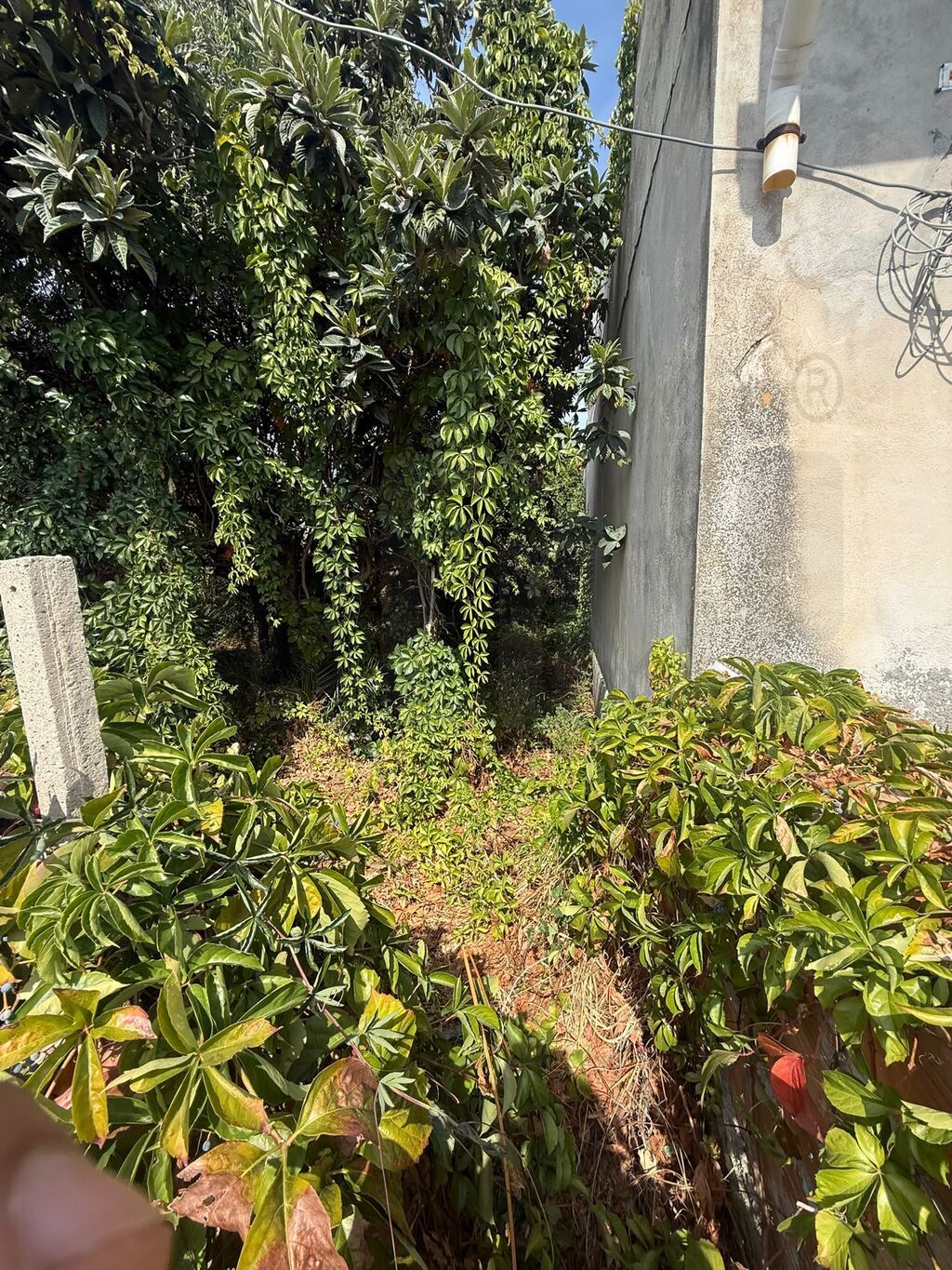 Villa con giardino in via genova, Milazzo