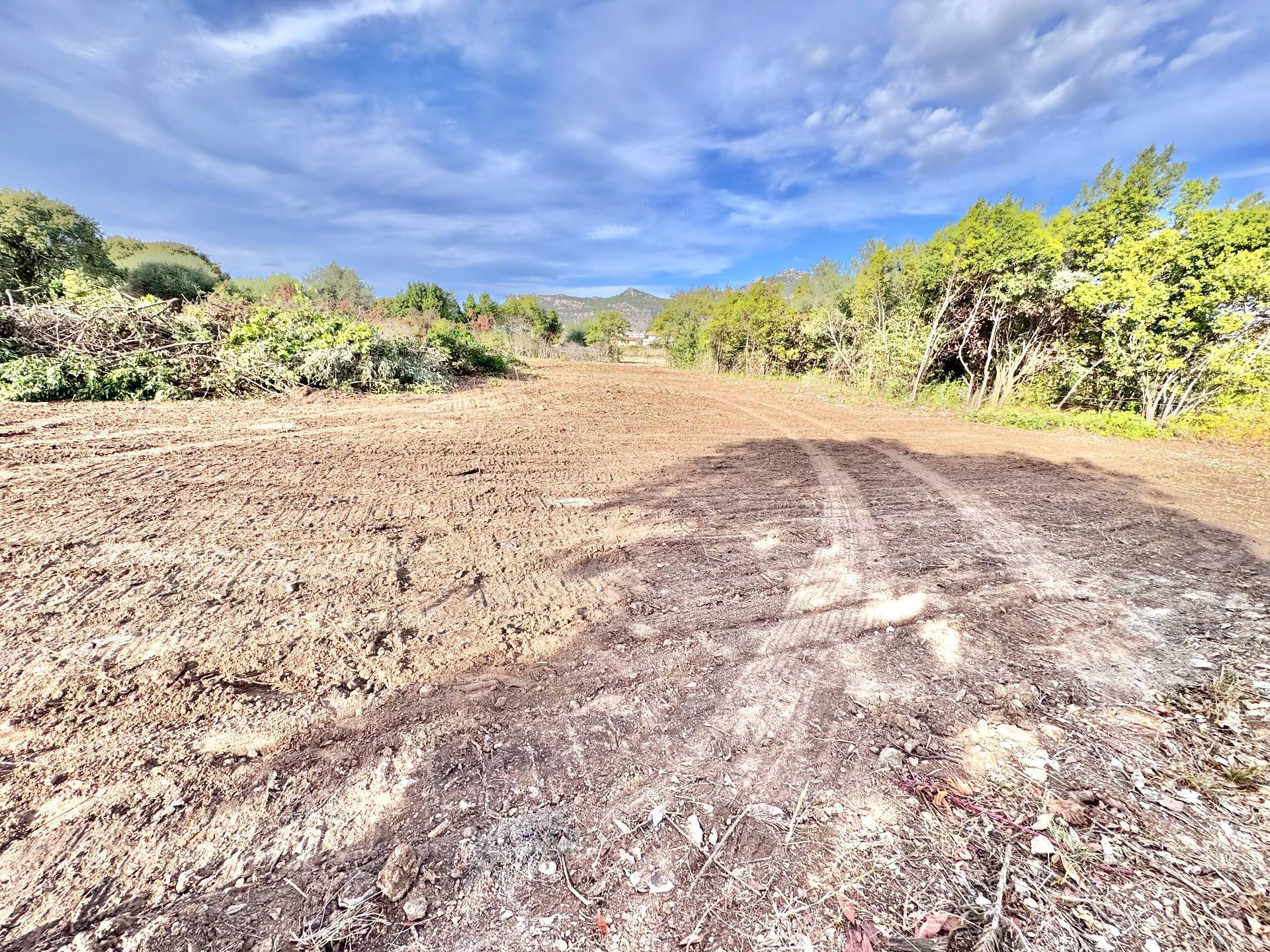 Terreno Agricolo in vendita a Palermo, Cruillas