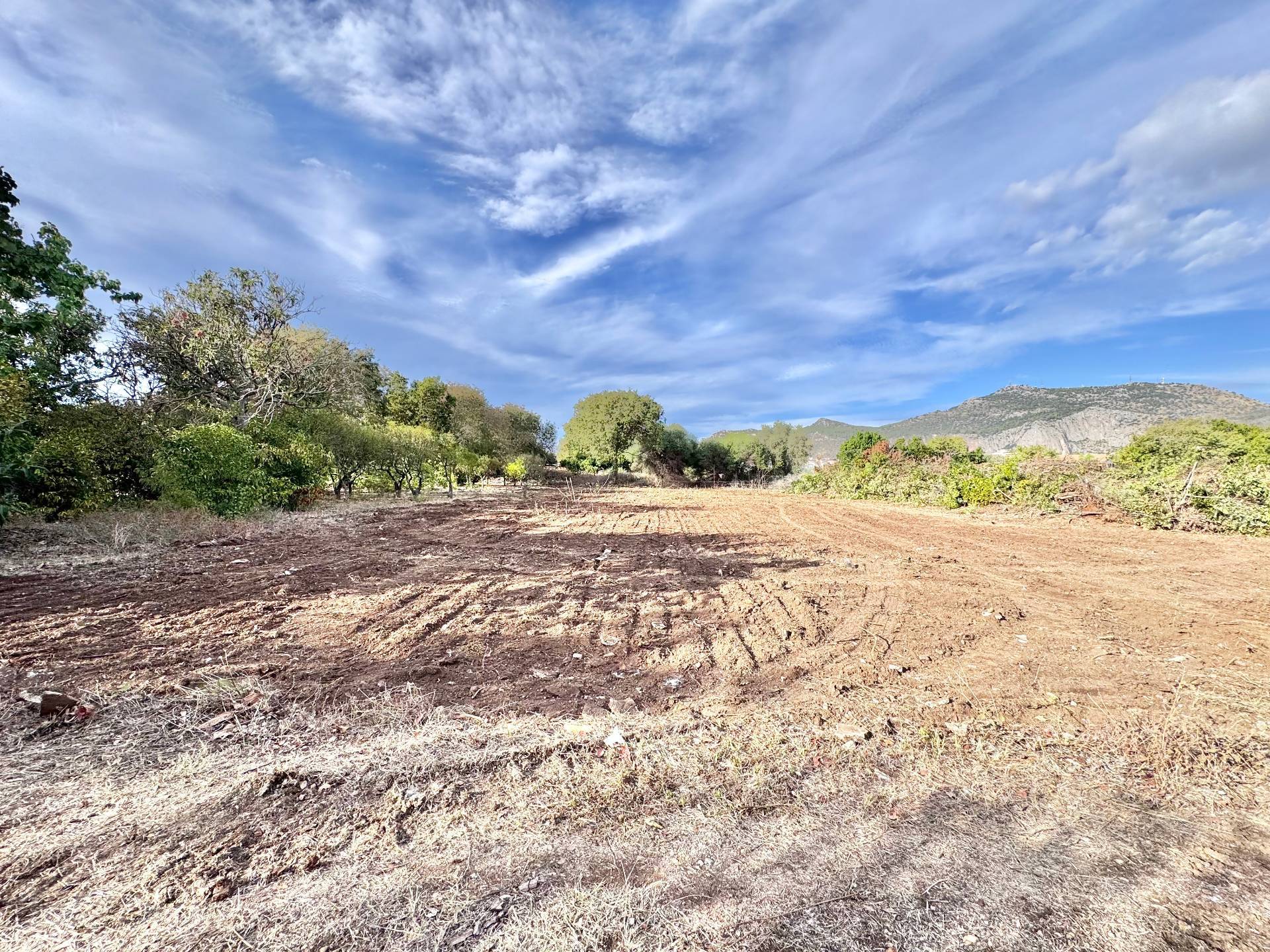 Terreno Agricolo in vendita a Palermo, Cruillas