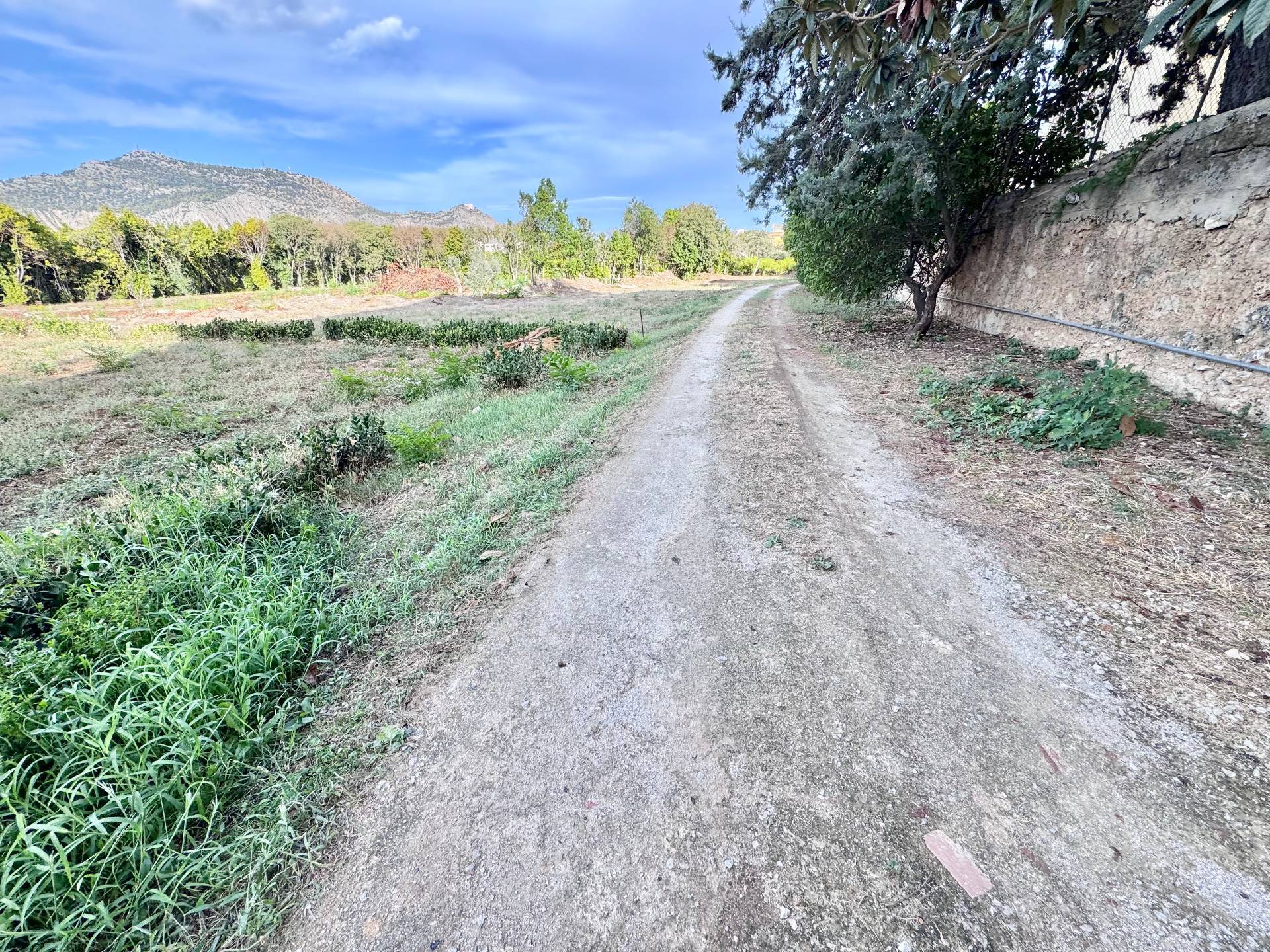 Terreno Agricolo in vendita a Palermo, Cruillas