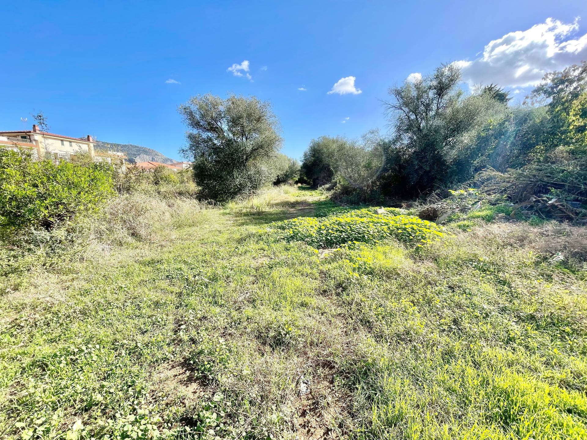 Terreno Agricolo in vendita a Palermo, Cruillas