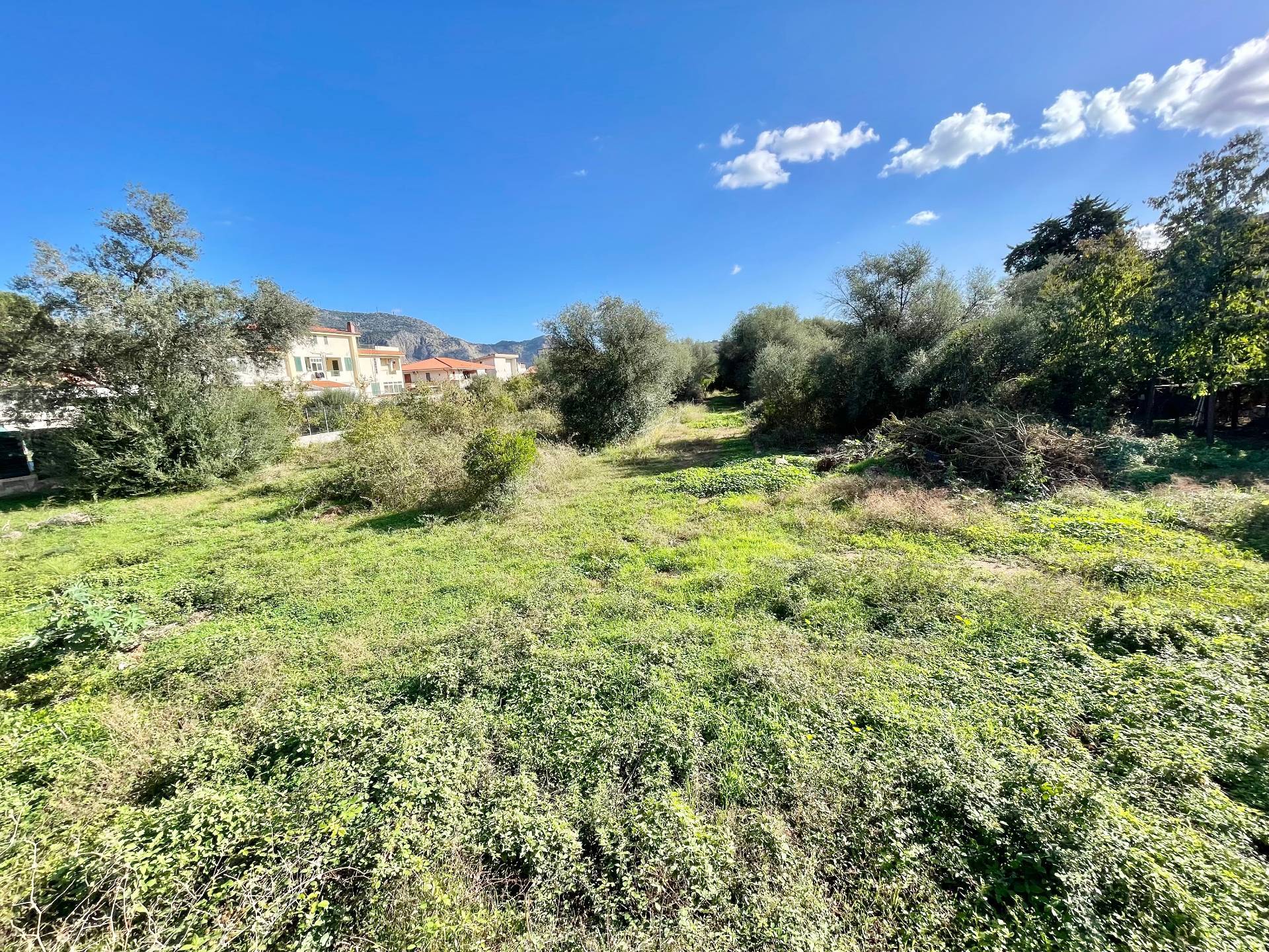 Terreno Agricolo in vendita a Palermo, Cruillas