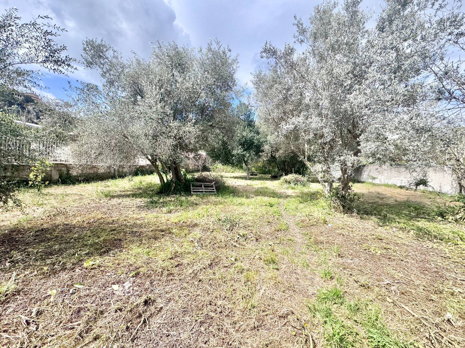 Terreno Agricolo in affitto a Palermo, Cruillas