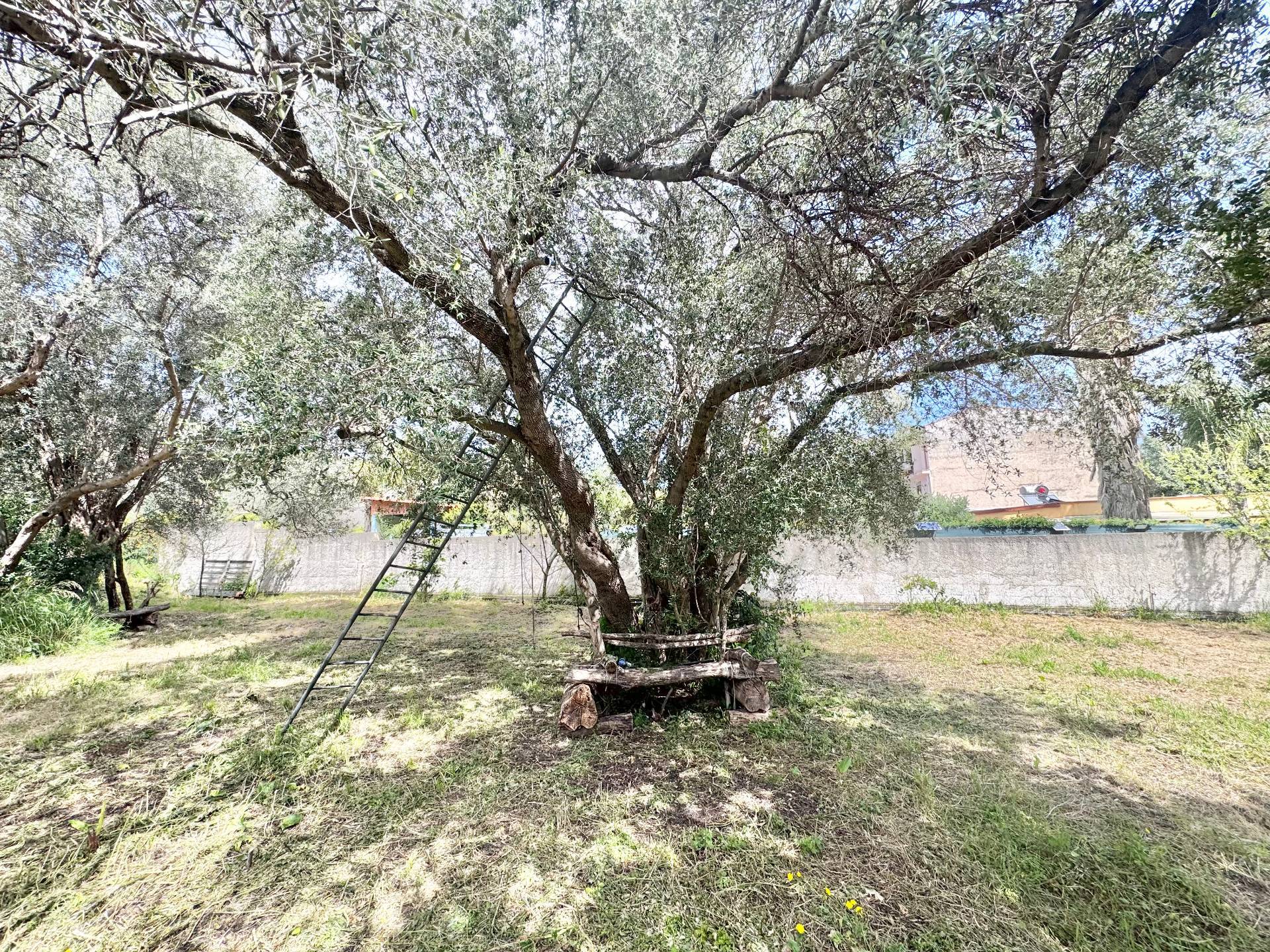 Terreno Agricolo in affitto a Palermo, Cruillas