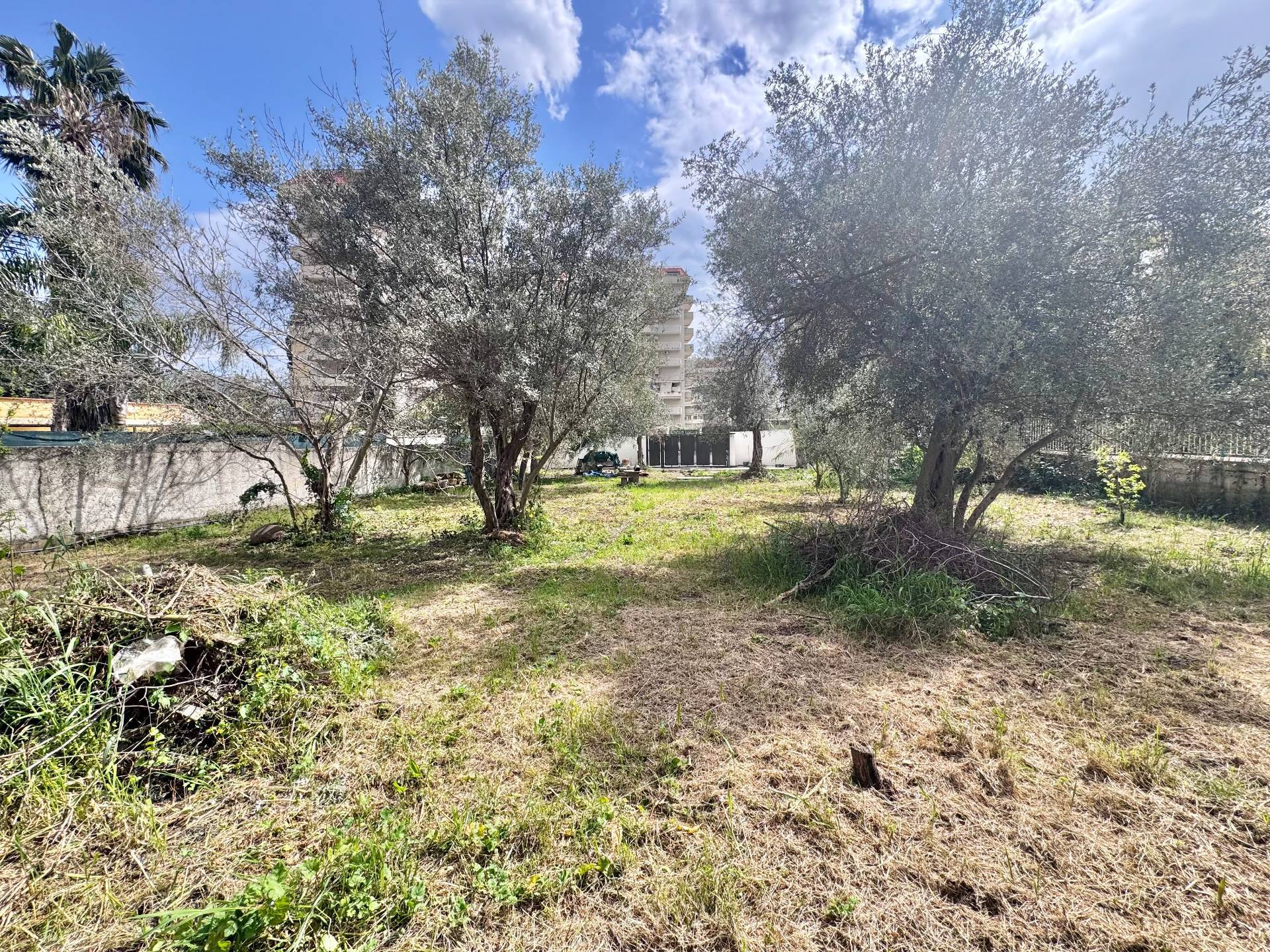 Terreno Agricolo in affitto a Palermo, Cruillas