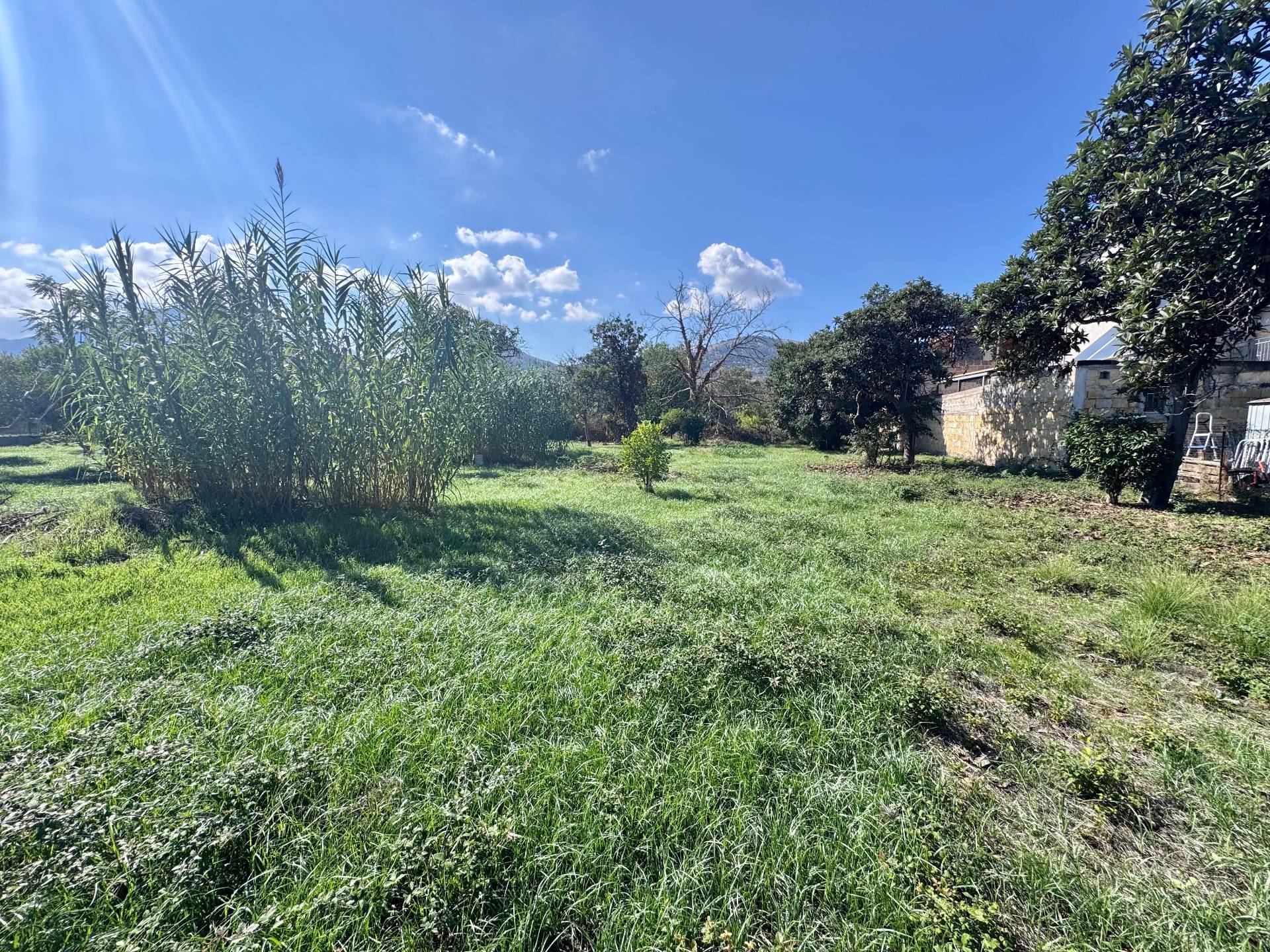Terreno Agricolo in vendita a Palermo, Cruillas