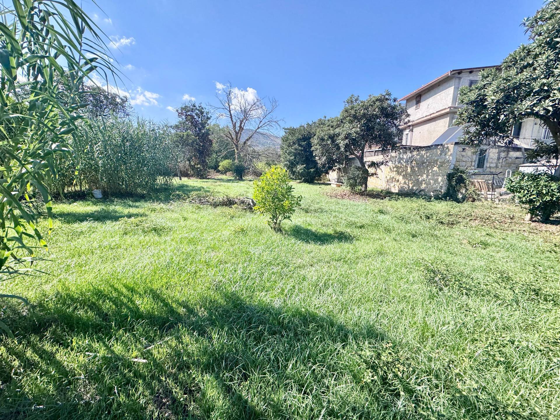 Terreno Agricolo in vendita a Palermo, Cruillas