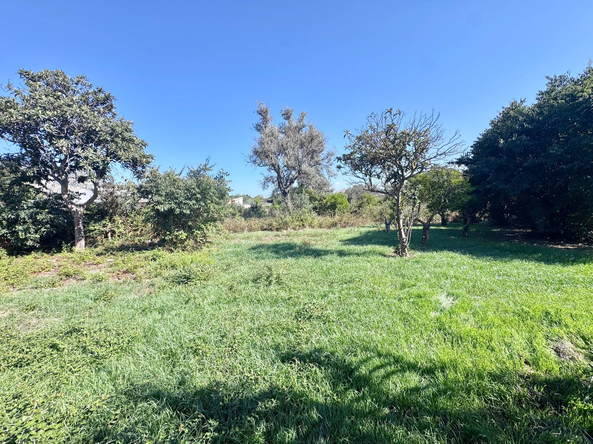 Terreno Agricolo in vendita a Palermo, Cruillas