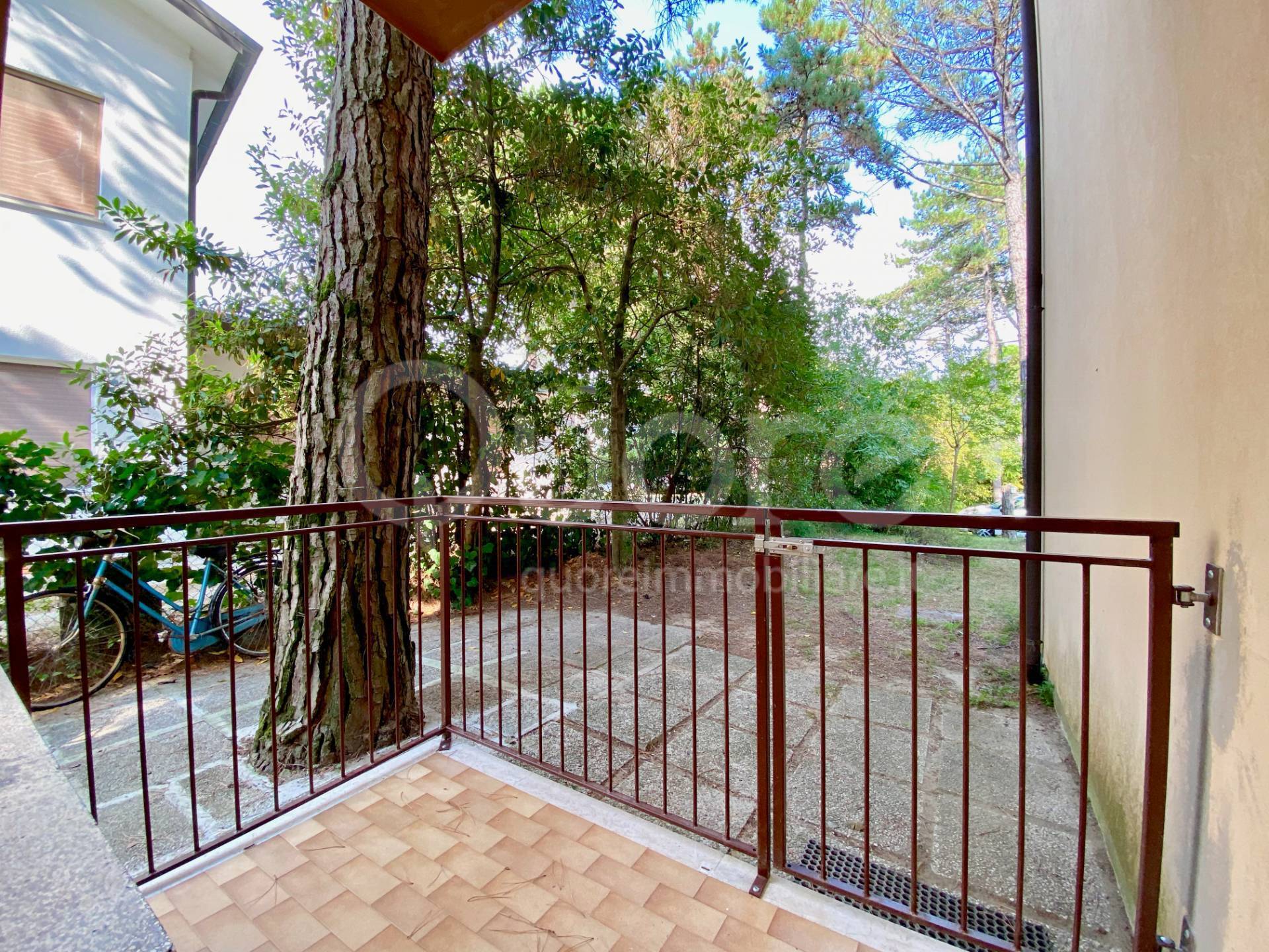 Appartamento in affitto a Lignano Sabbiadoro, Lignano Pineta