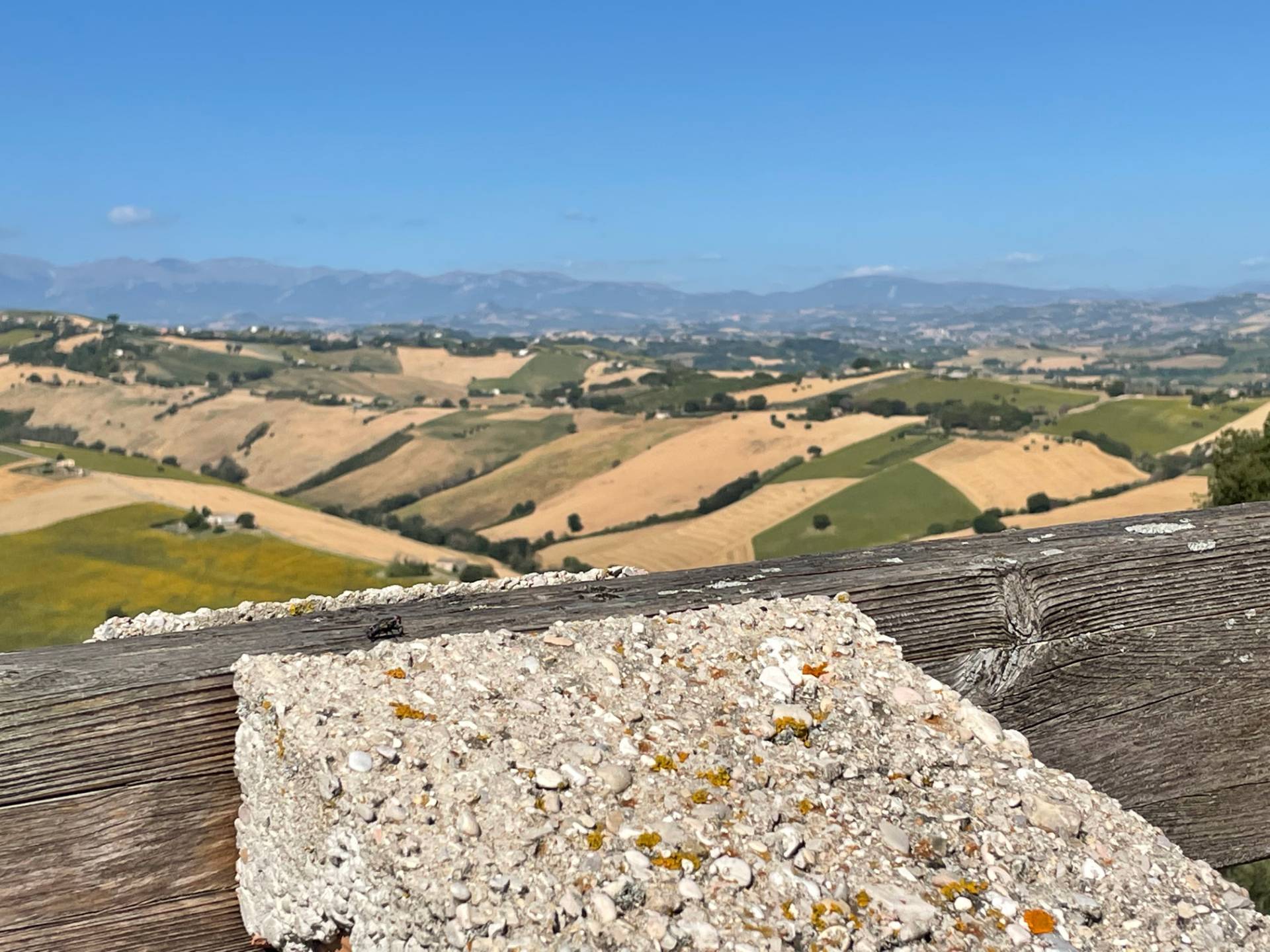 Terreno Agricolo in vendita a Lapedona