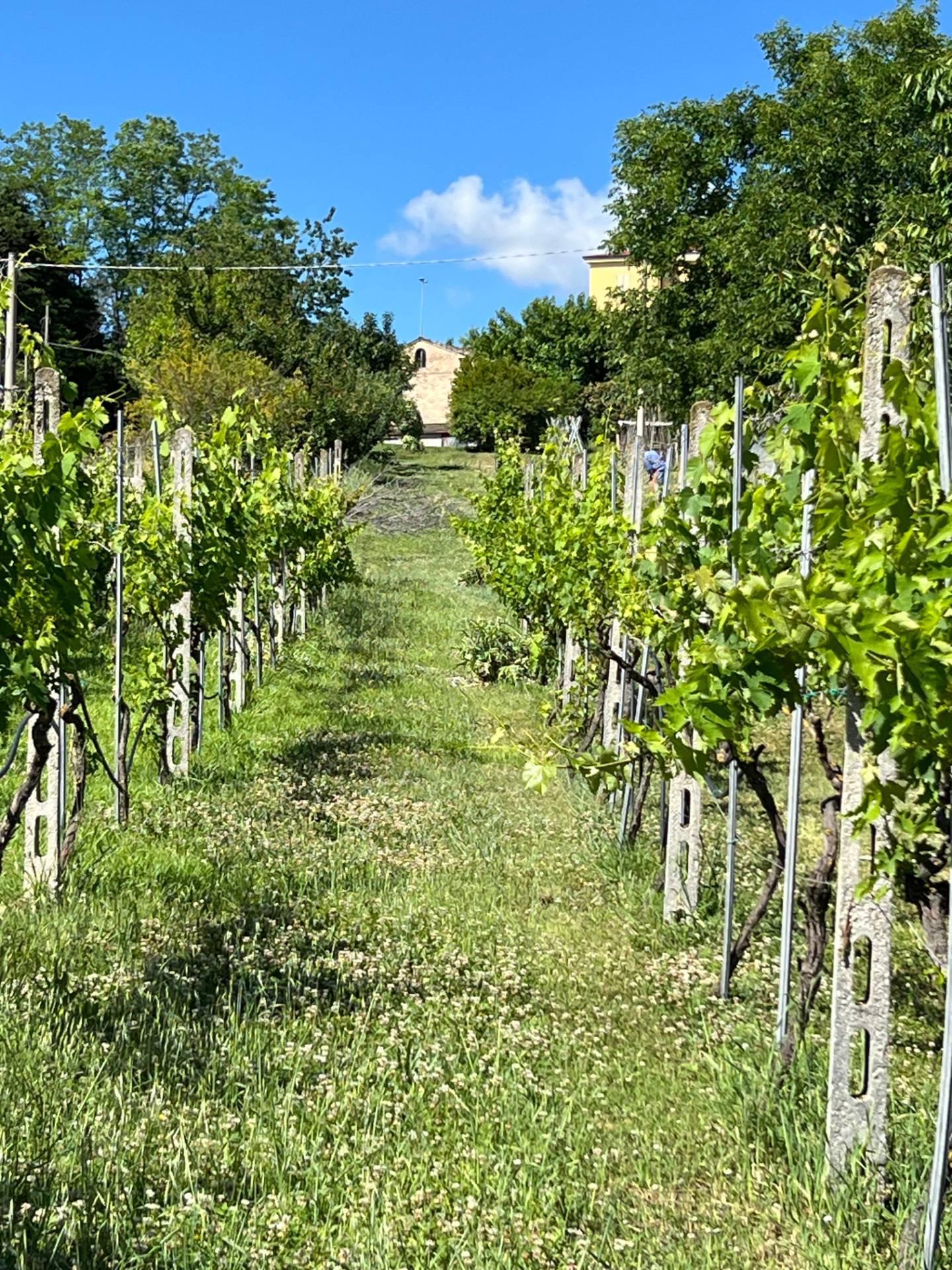 Casa singola in vendita a Petritoli