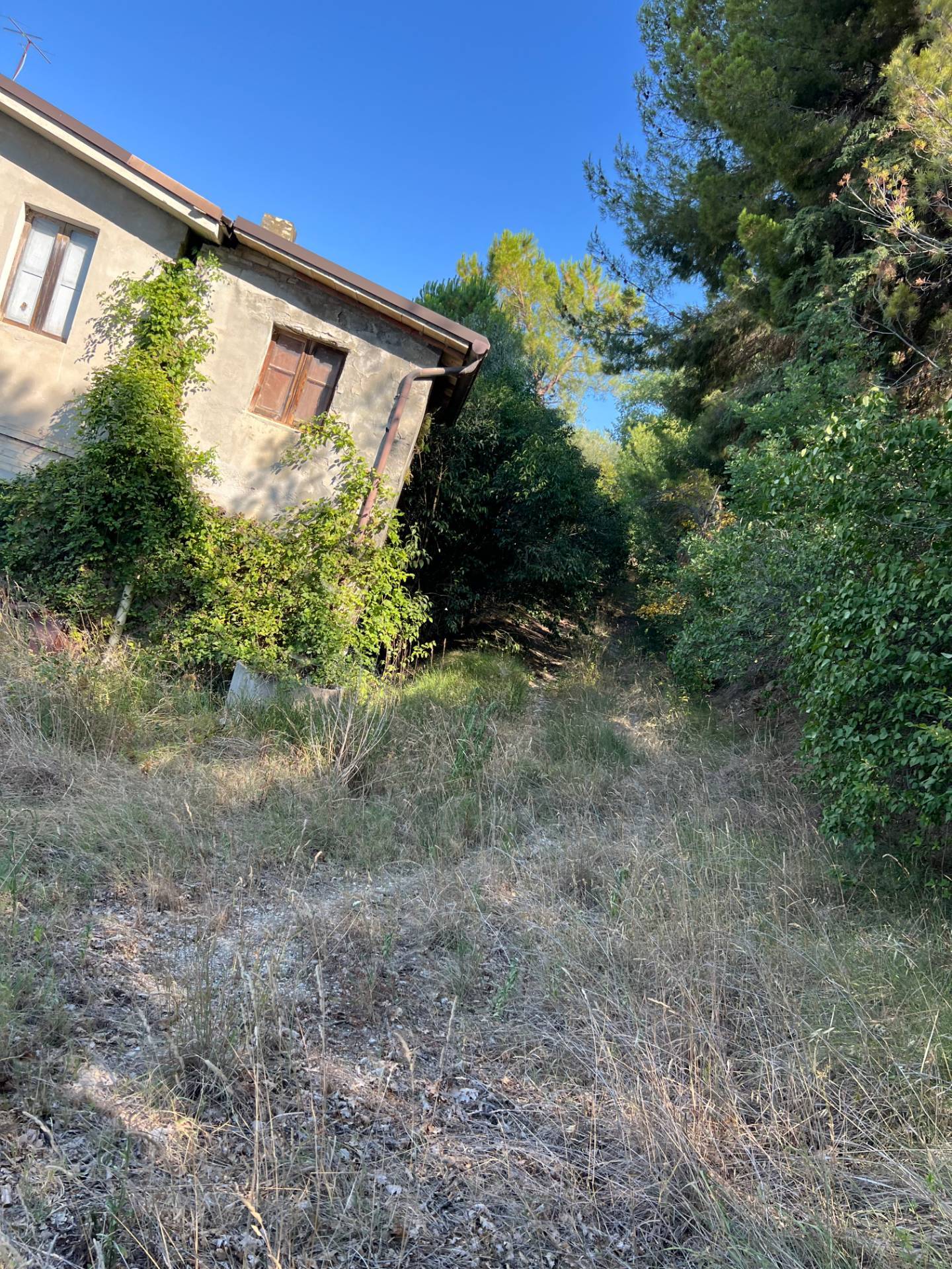 Casa singola in vendita a Petritoli