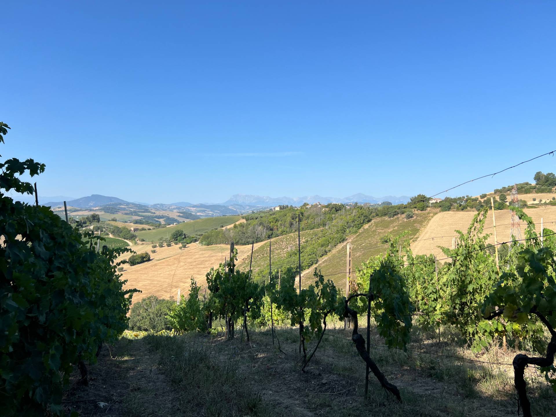 Casa singola in vendita a Petritoli