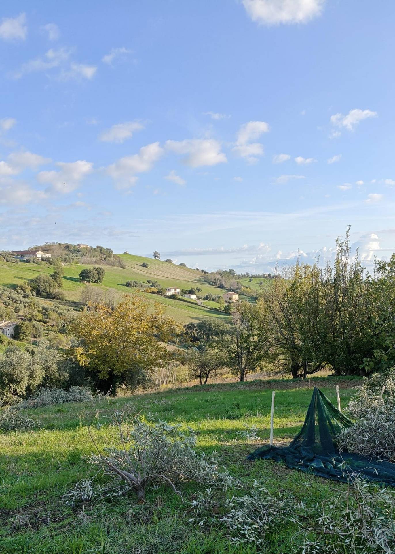 Casa singola in vendita a Fermo, Tira a Segno