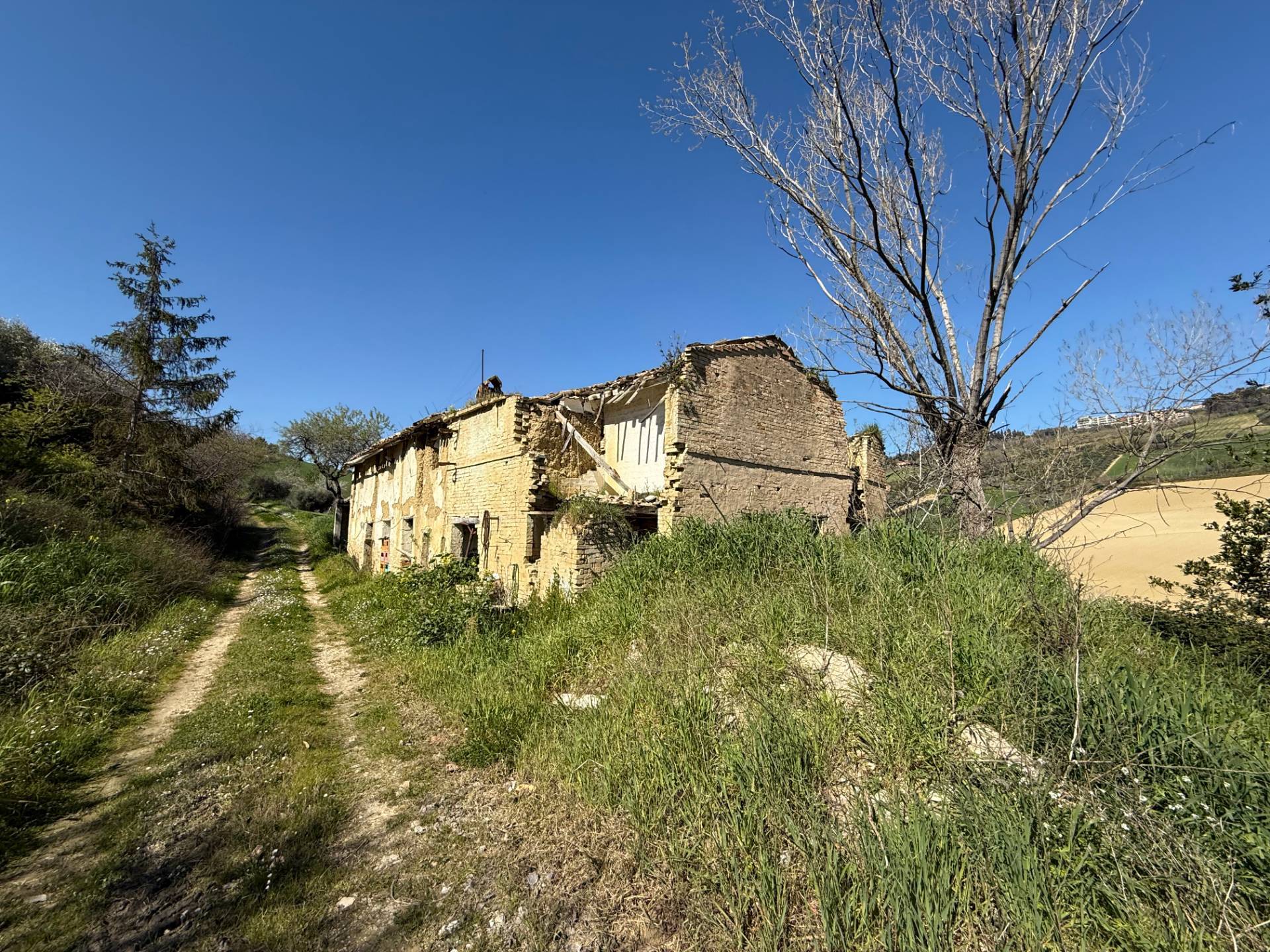 Casa singola e terreno agricolo in vendita a Fermo, Santa Petronilla