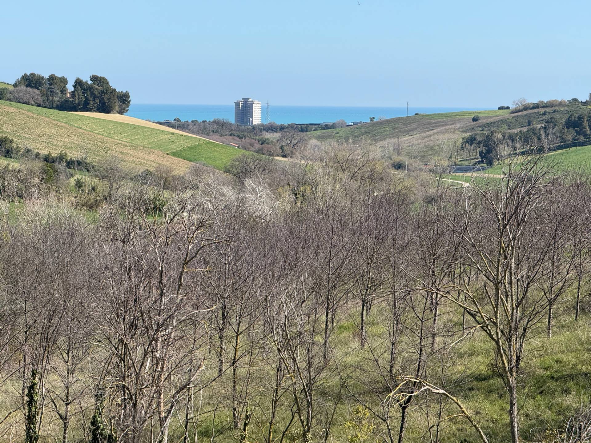 Casa singola e terreno agricolo in vendita a Fermo, Santa Petronilla