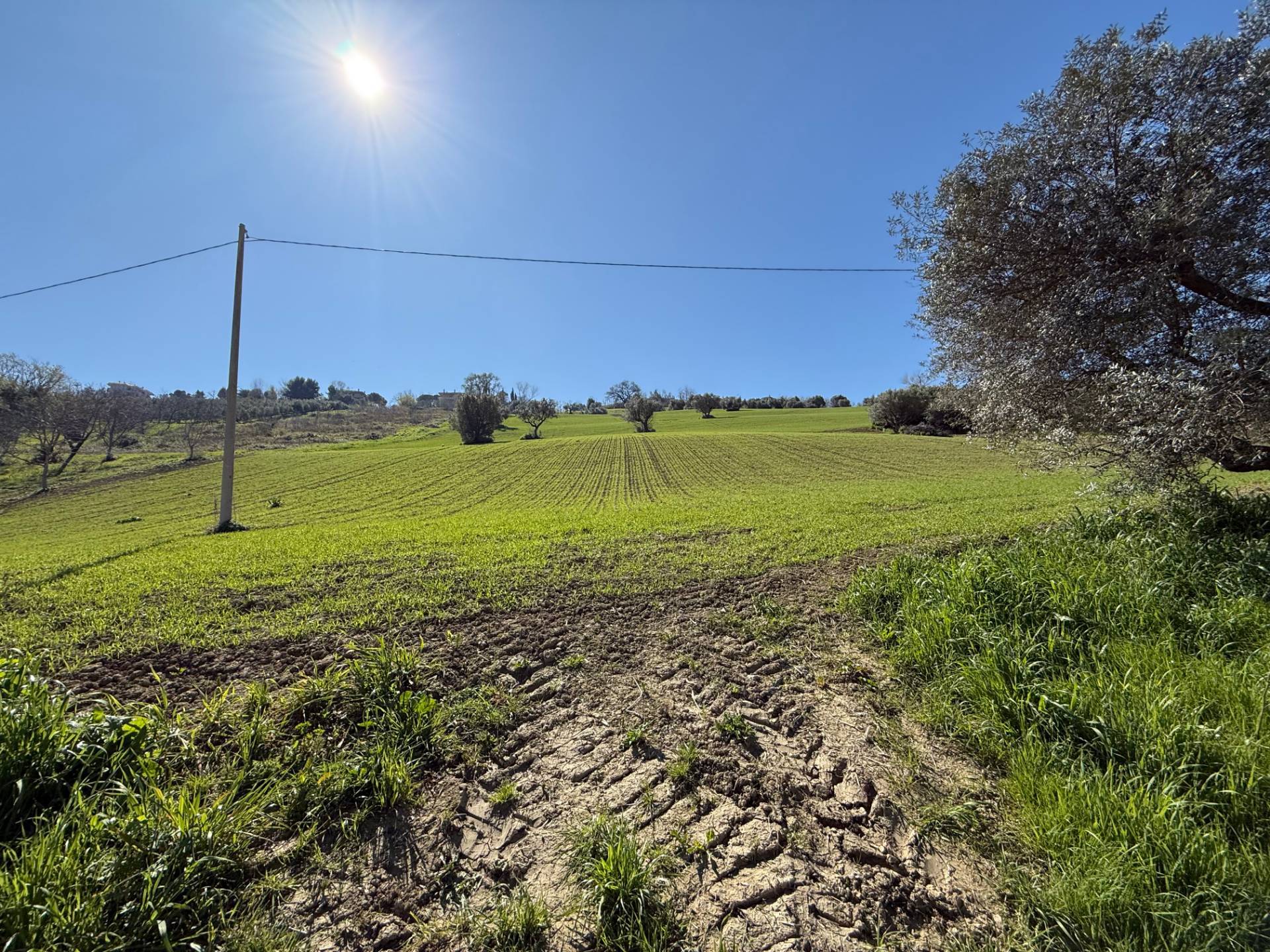 Casa singola e terreno agricolo in vendita a Fermo, Santa Petronilla
