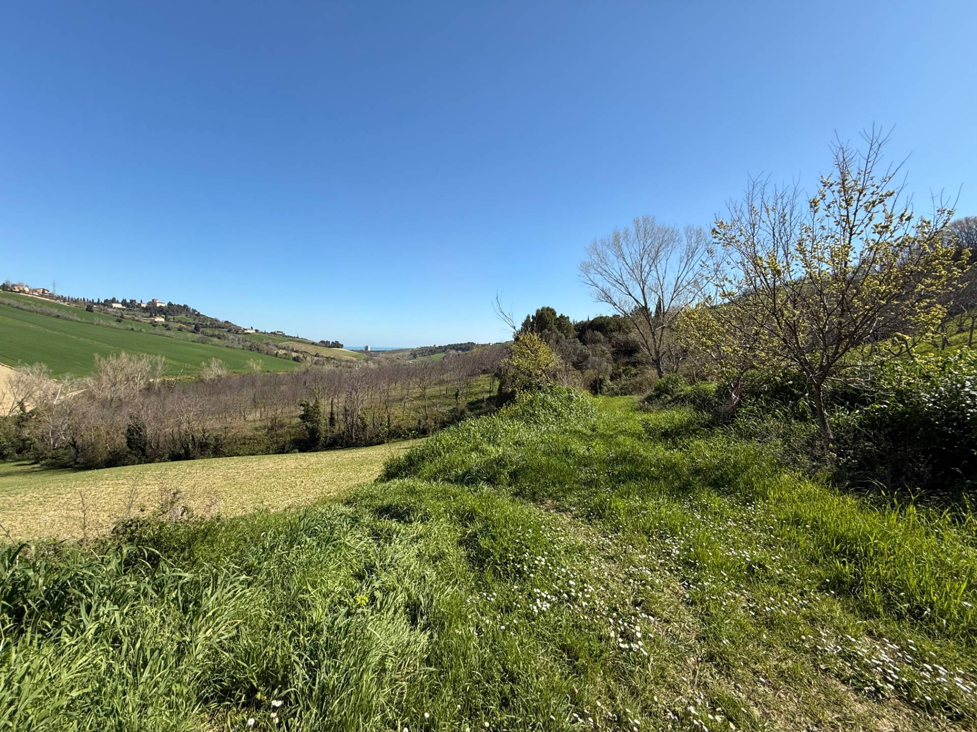 Casa singola e terreno agricolo in vendita a Fermo, Santa Petronilla