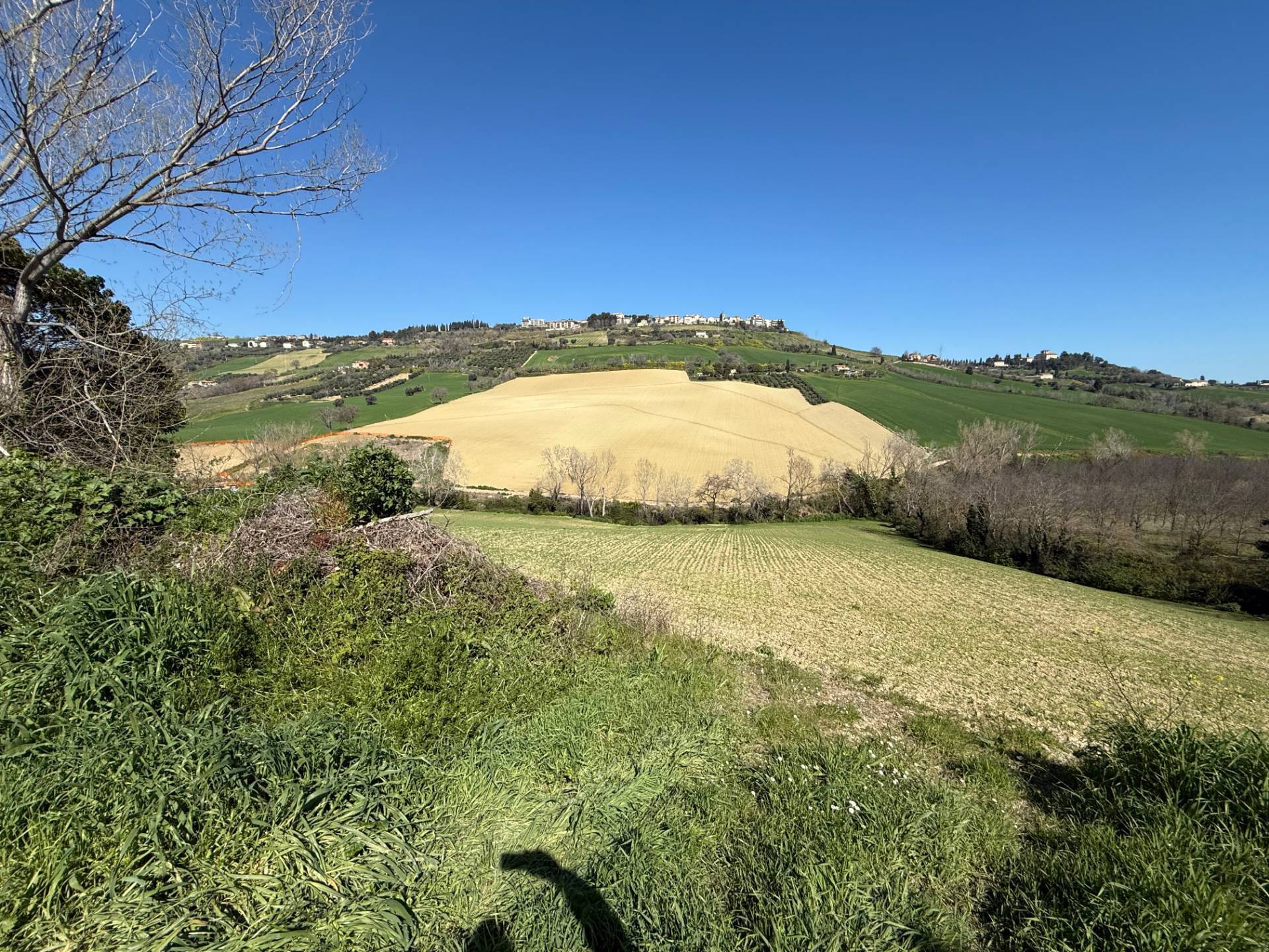 Casa singola e terreno agricolo in vendita a Fermo, Santa Petronilla